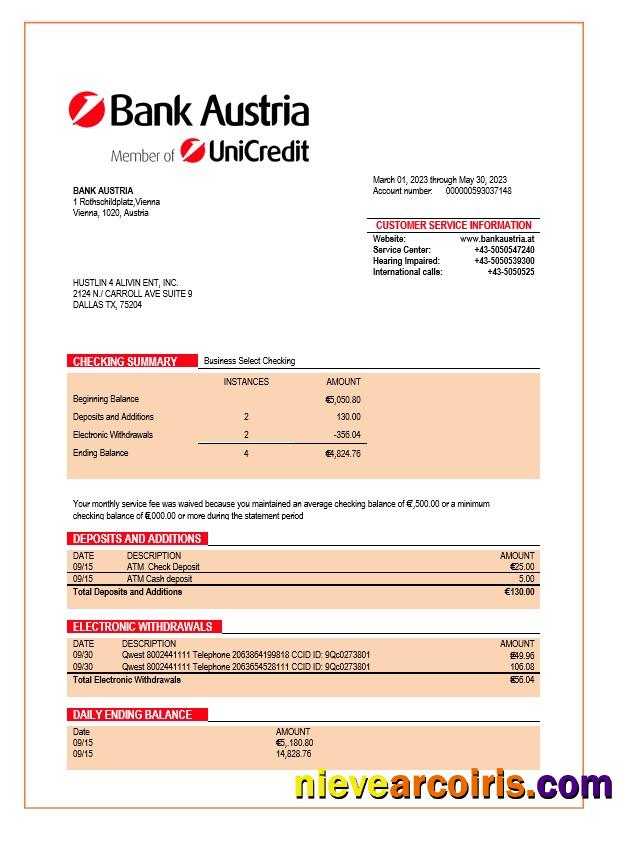 Bank Austria organization statement